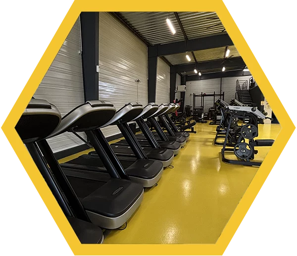 Salle de fitness Mazé-Milon espace cardio ms fitness Mazé
